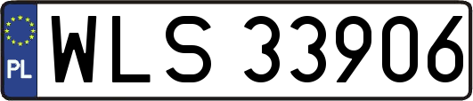WLS33906