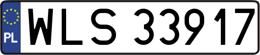WLS33917