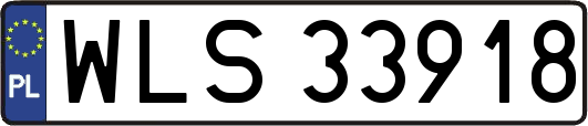 WLS33918
