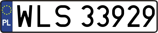 WLS33929