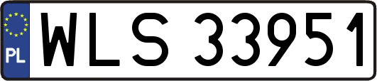 WLS33951