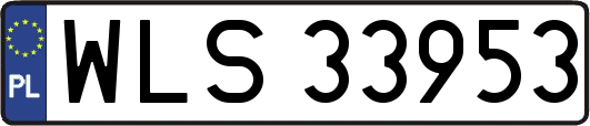 WLS33953