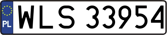 WLS33954