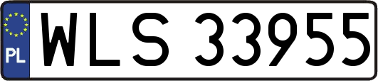 WLS33955