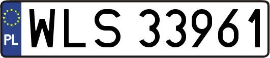 WLS33961