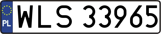 WLS33965