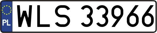 WLS33966