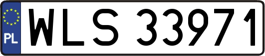 WLS33971