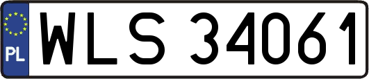 WLS34061