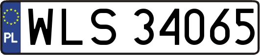 WLS34065
