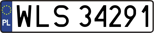 WLS34291