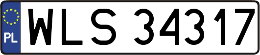 WLS34317