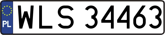 WLS34463