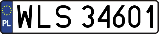 WLS34601