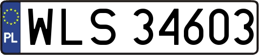 WLS34603