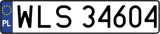 WLS34604