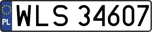 WLS34607