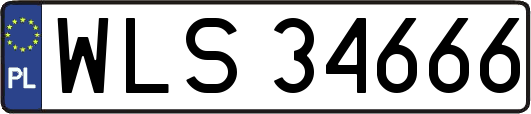 WLS34666