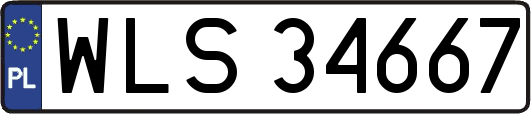 WLS34667