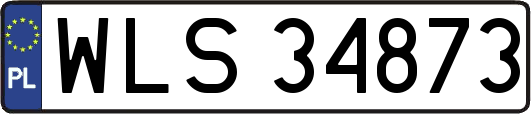 WLS34873