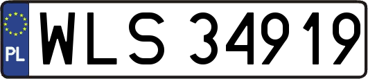 WLS34919