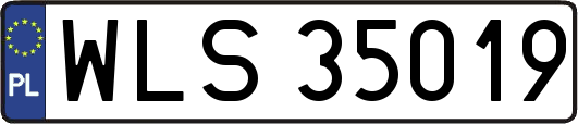 WLS35019