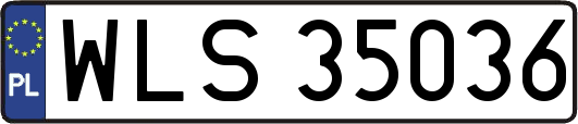 WLS35036