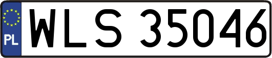 WLS35046