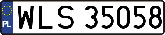 WLS35058