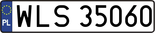 WLS35060