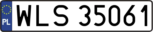 WLS35061