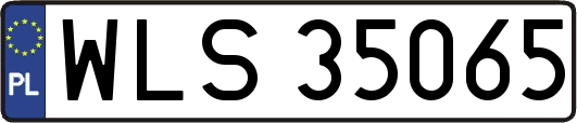 WLS35065