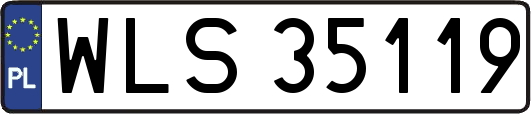 WLS35119
