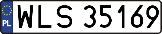 WLS35169