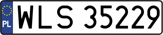 WLS35229