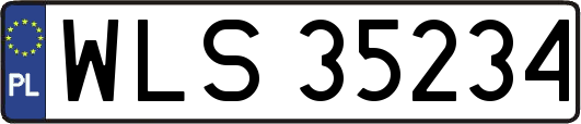 WLS35234