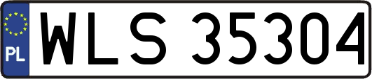 WLS35304