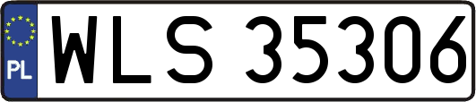 WLS35306