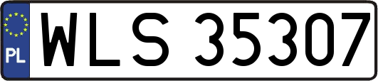 WLS35307