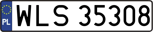WLS35308