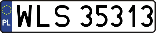 WLS35313