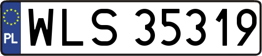 WLS35319