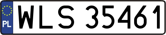 WLS35461