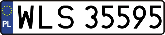 WLS35595