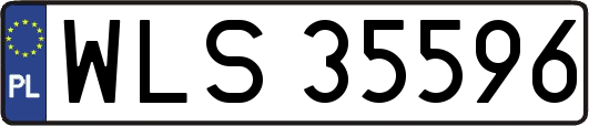 WLS35596