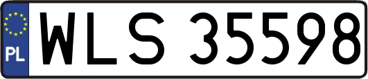 WLS35598