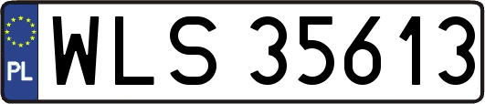 WLS35613