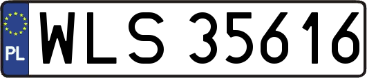 WLS35616
