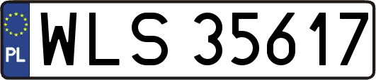 WLS35617