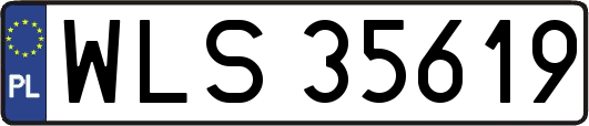 WLS35619